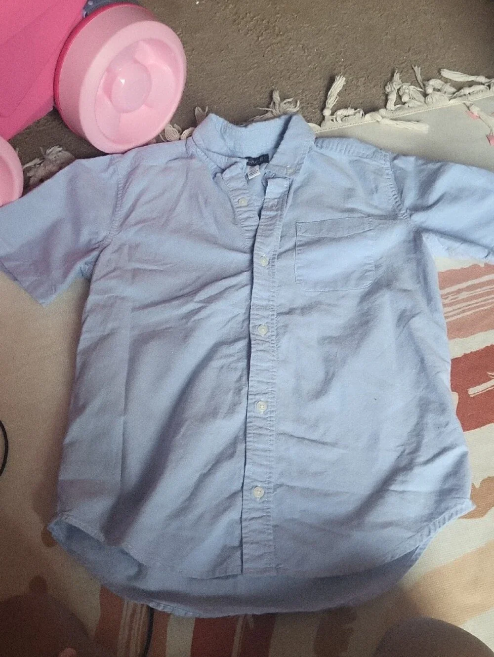 The Children's Place Light Blue Button-Down Shirt